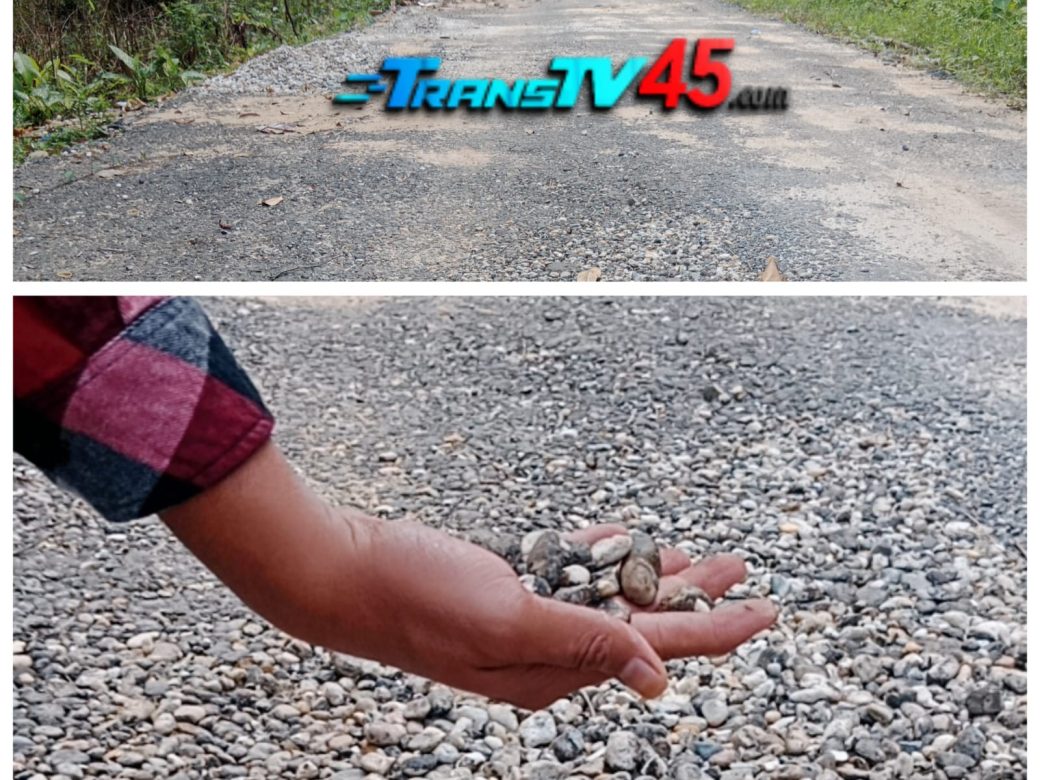 IMG-20240123-WA0068(1)