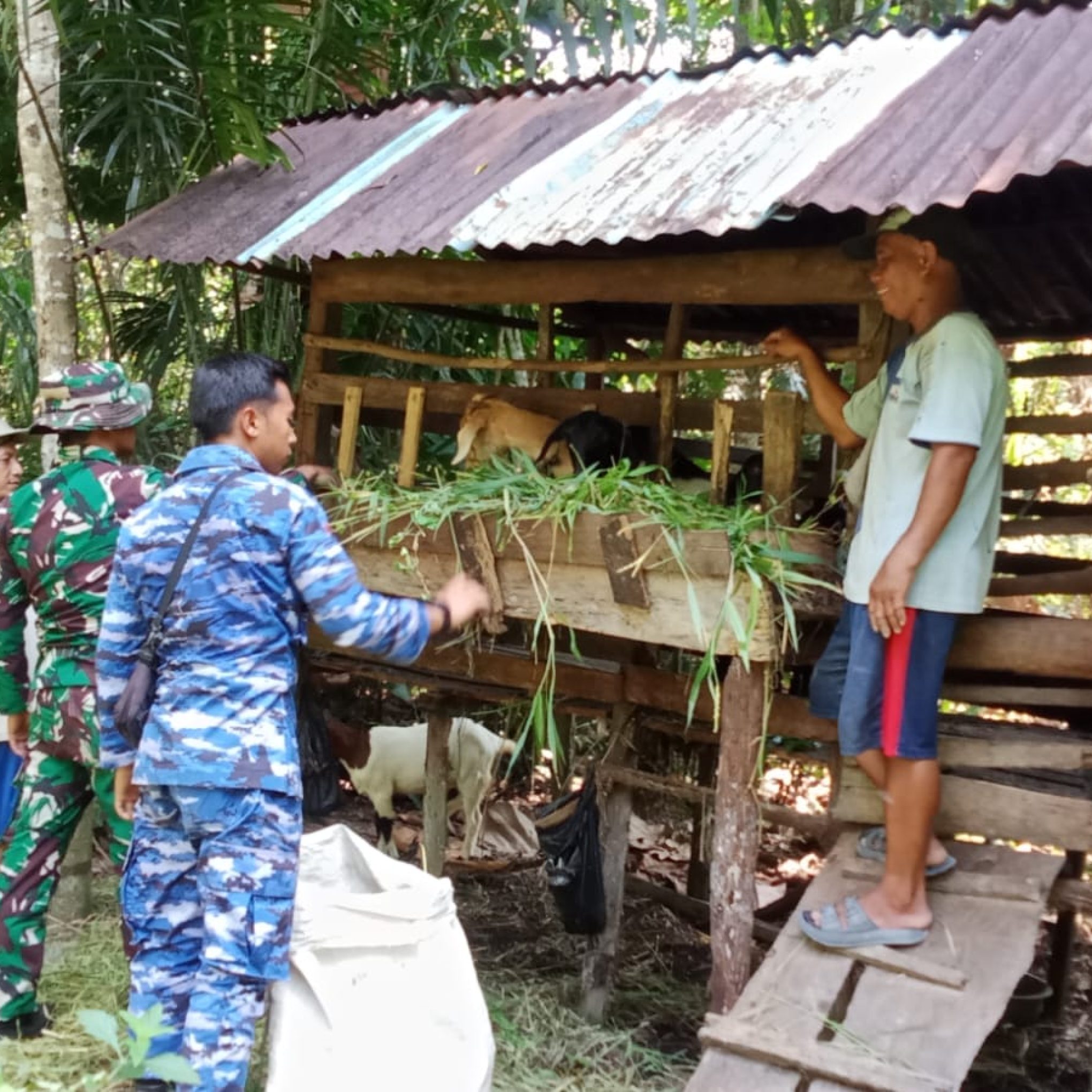 WhatsApp Image 2025-10-29 at 13.01.33