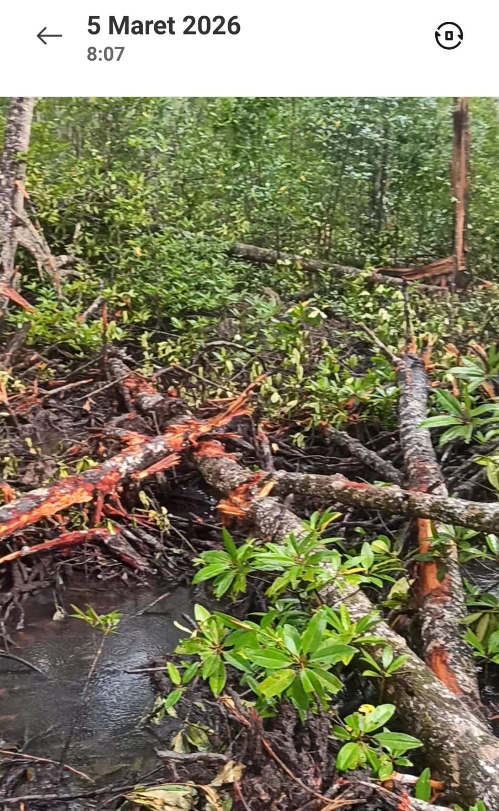 Dokumentasi : 5 Maret 2026